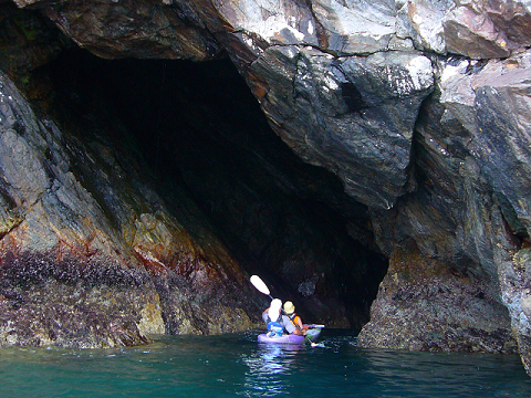 紀伊半島みる観る探検隊、シーカヤックで洞窟に入るガイドとツアー参加者