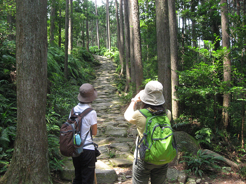 熊野古道伊勢路・馬越峠エコツアーの様子、石畳と女性参加者2人