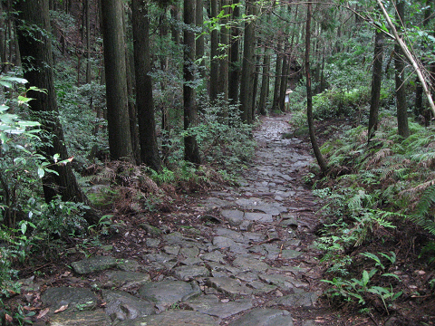 熊野古道伊勢路・馬越峠の石畳