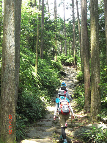 熊野古道伊勢路・馬越峠を歩くガイドとツアー参加女性