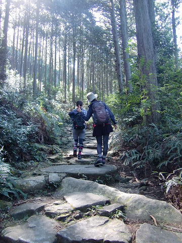 熊野古道伊勢路・馬越峠の石畳とツアー参加女性