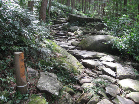 熊野古道伊勢路・馬越峠の石畳と道標
