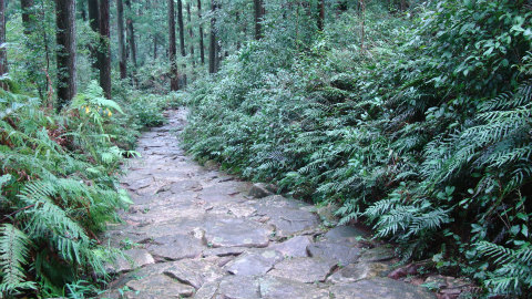 熊野古道伊勢路・馬越峠の石畳