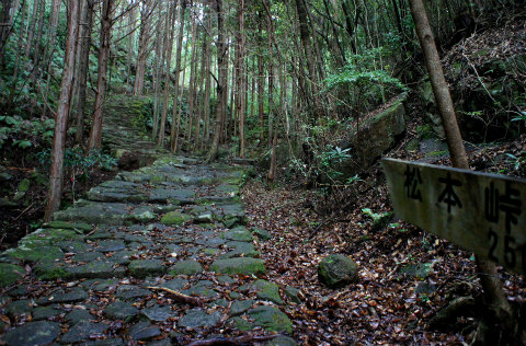 熊野古道伊勢路・松本峠の石畳