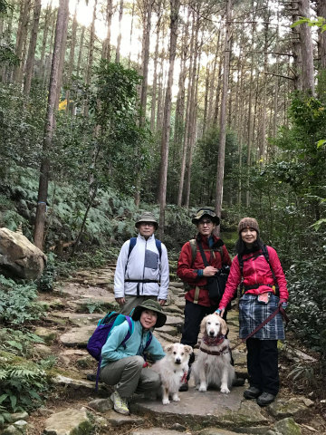 熊野古道伊勢路・馬越峠の石畳にてエコツアー参加者4人と犬2匹