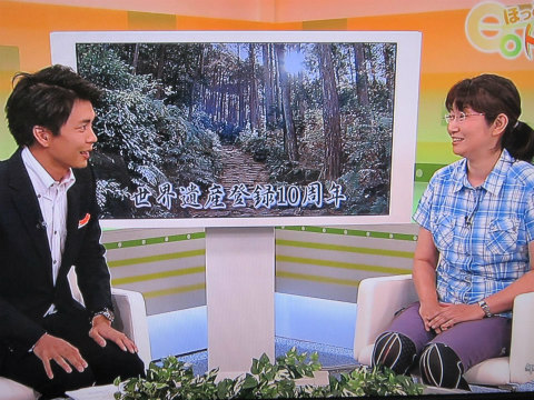 NHKテレビで熊野古道世界遺産10周年について話す内山裕紀子と男性アナウンサー