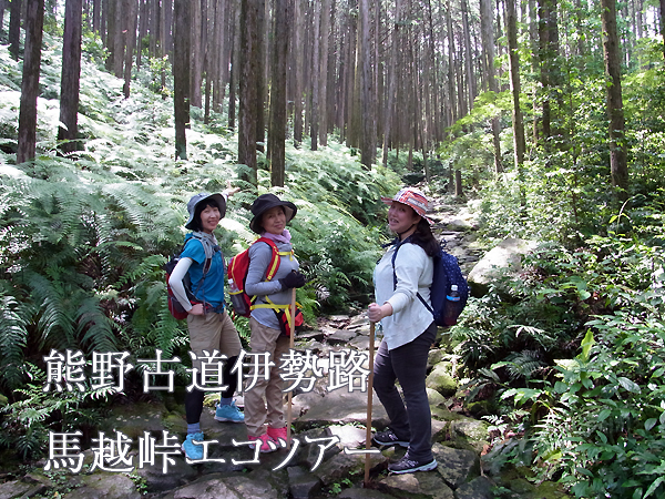 熊野古道伊勢路・馬越峠エコツアーにて森林の石畳と女性参加者