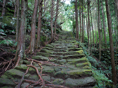 熊野古道伊勢路・松本峠の石畳