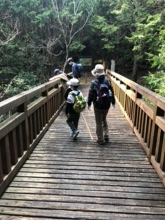熊野古道伊勢路・三浦峠道の木橋を歩くエコツアー参加者