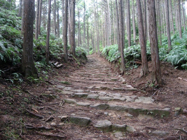 熊野古道中辺路の石畳
