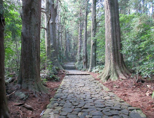 熊野古道大門坂の石畳