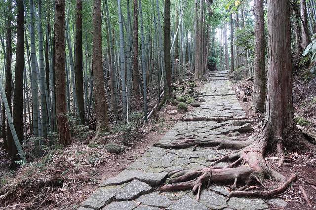 熊野古道中辺路の石畳