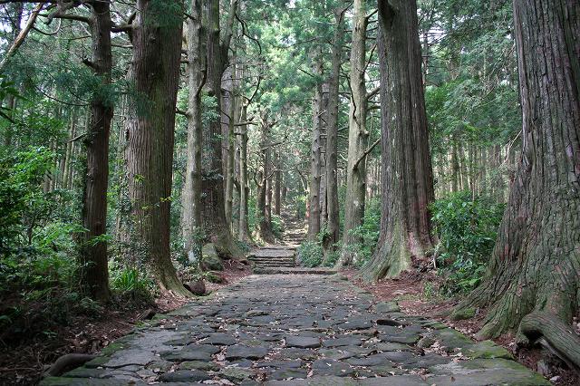 熊野古道中辺路・大門坂の杉並木と石畳