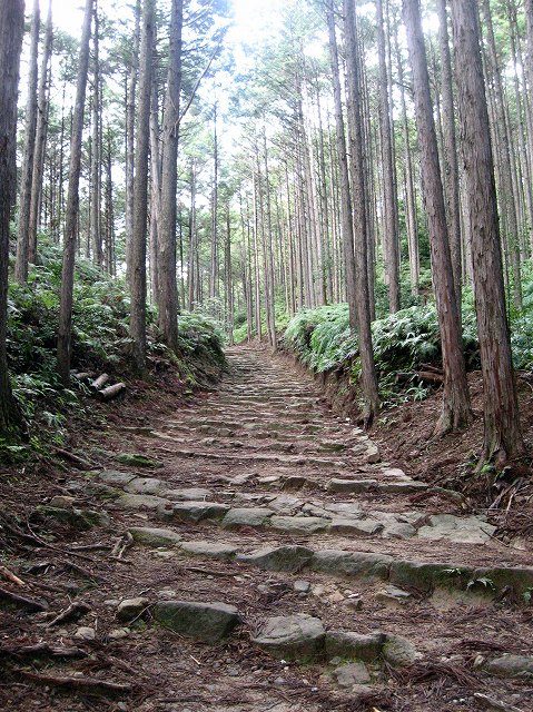 熊野古道中辺路