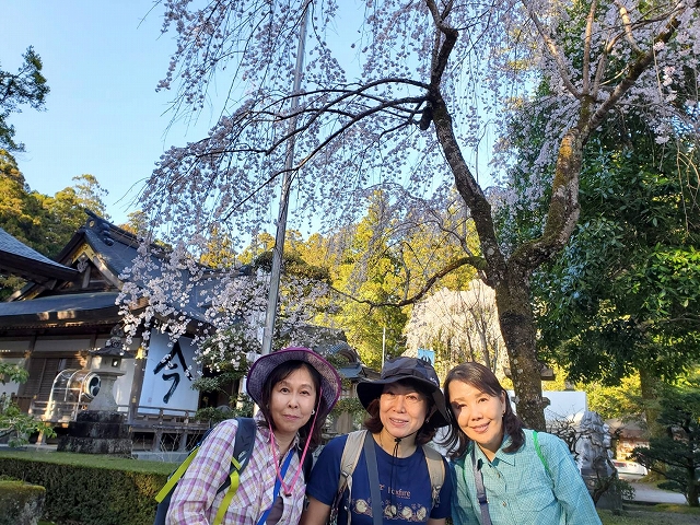 熊野本宮大社の桜の前で記念撮影