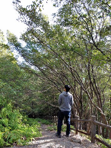 城ノ浜遊歩道・多田ヶ瀬コース 城ノ浜遊歩道・多田ヶ瀬コース